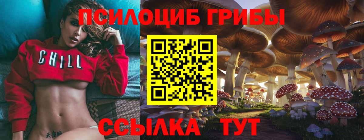 Галлюциногенные грибы мицелий Пушкино