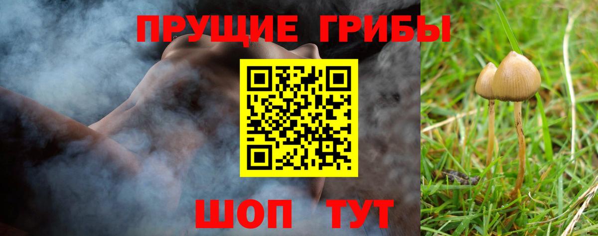 Псилоцибиновые грибы мухоморы  Галлюциногенные грибы Psilocybine cubensis  Вход с VPN  Пушкино 